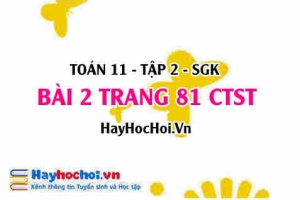 Bài 2 trang 81 Toán 11 tập 2 Chân trời sáng tạo